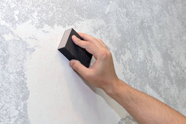 Best Post-Construction Mold Inspection  in Meriden, CT