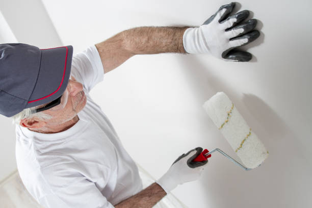 Best Forensic Mold Investigation  in Meriden, CT