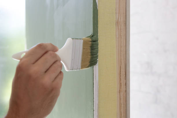 Best Black Mold Removal  in Meriden, CT