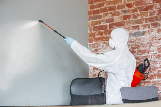 Best Biohazard Mold Removal  in Meriden, CT