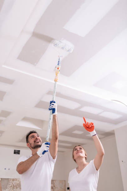 Reliable Meriden, CT Mold Removal Solutions