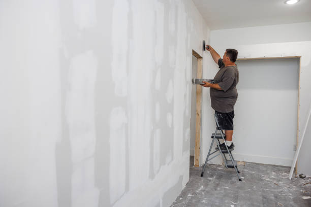 Best Real Estate Mold Inspection  in Meriden, CT