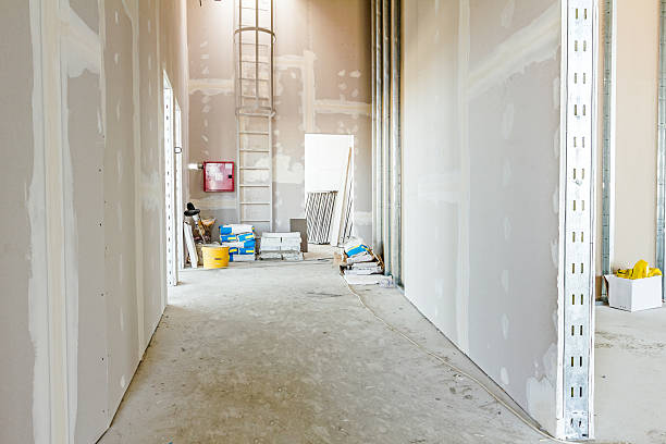 Reliable Meriden, CT Mold Removal Solutions